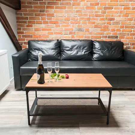 Leo Old Town Apartment Krakow